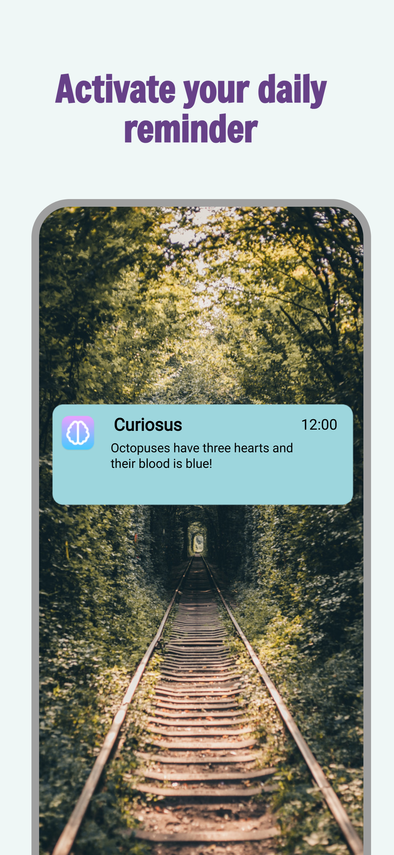 Curiosus App Screenshot 3